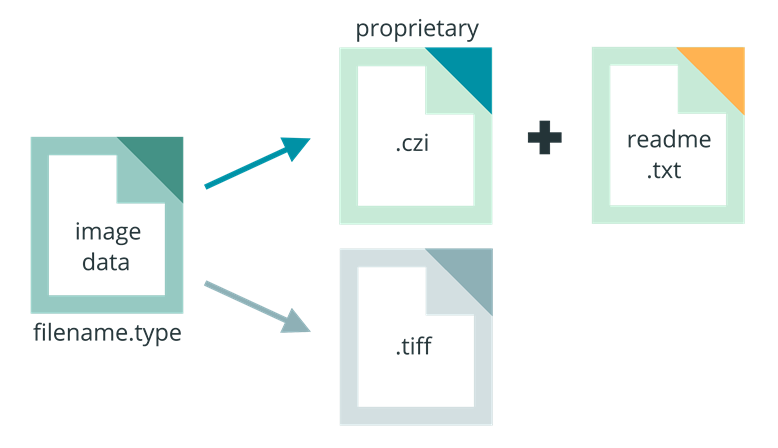 How to Choose Image File Formats